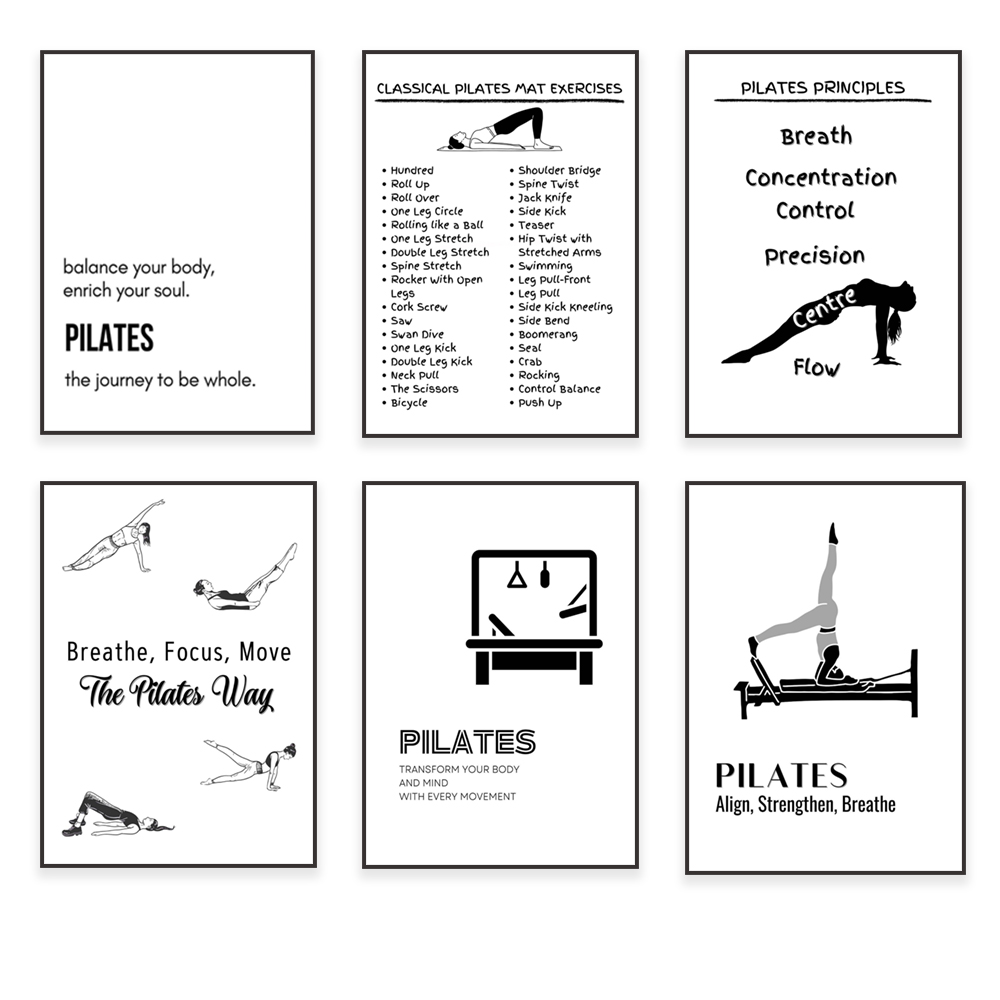 Pilates poses, pilates princip - Health Wellness Poster reseña y precio