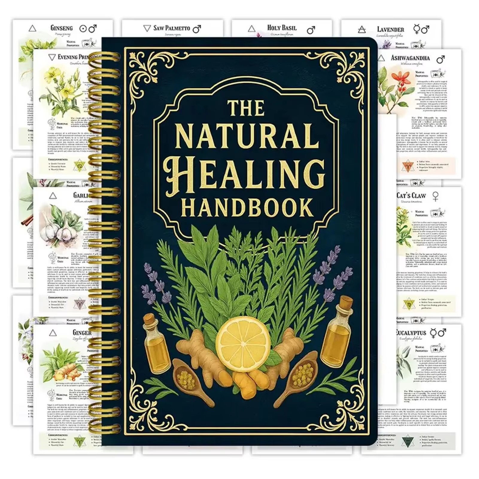 Healing Handbook By Luna Filby - Health & Wellness Resources reseña y precio