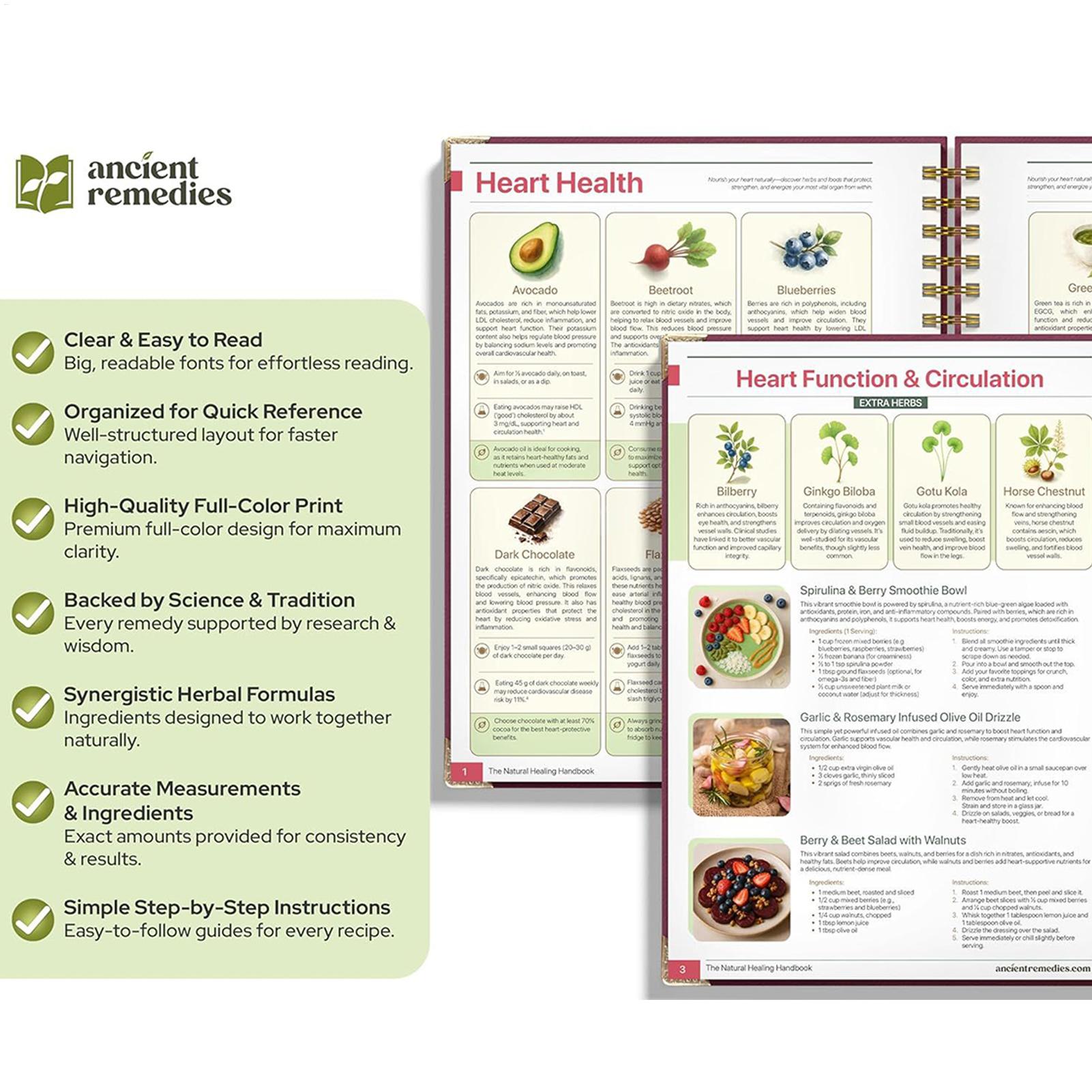 250x176x10mm Human Health Guid - Health & Wellness Resources reseña y precio