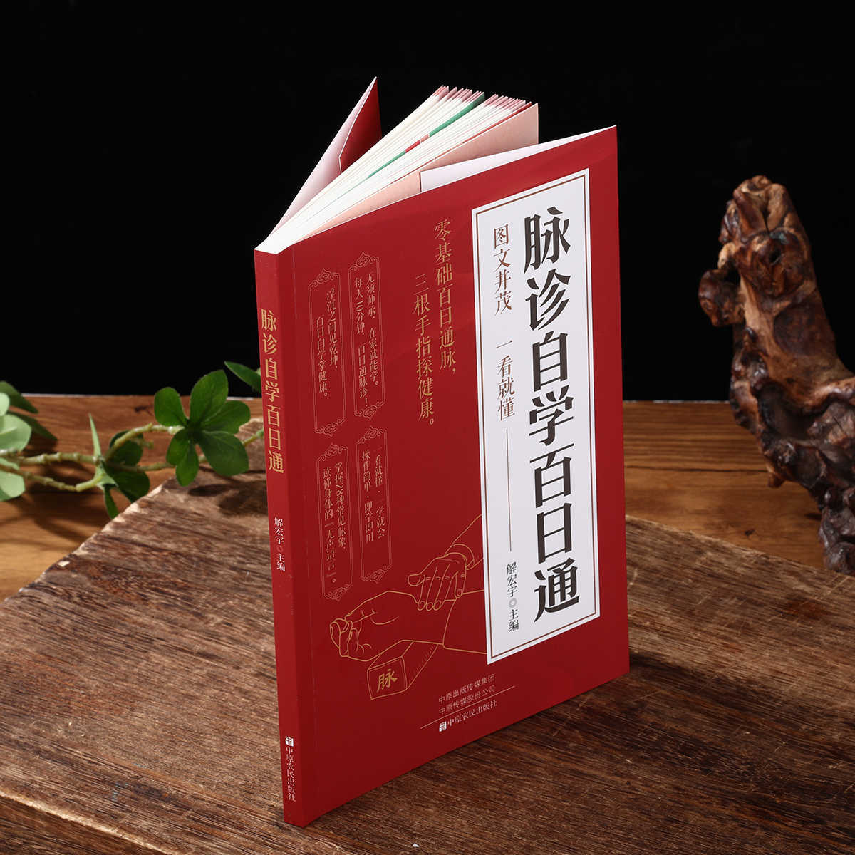Pulse Diagnosis Self Study Hun - Health & Wellness Resources reseña y precio